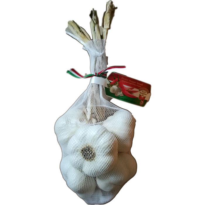 ungarischer Knoblauch normal